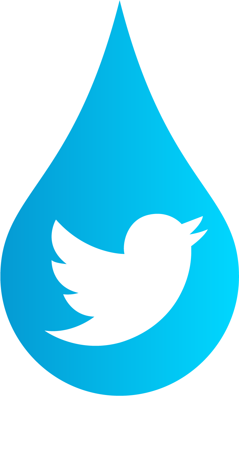 Sprinklermaic Fire Protection - Kongpao Twitter Logo Pillow Case & Insert Throw (1050x1826)