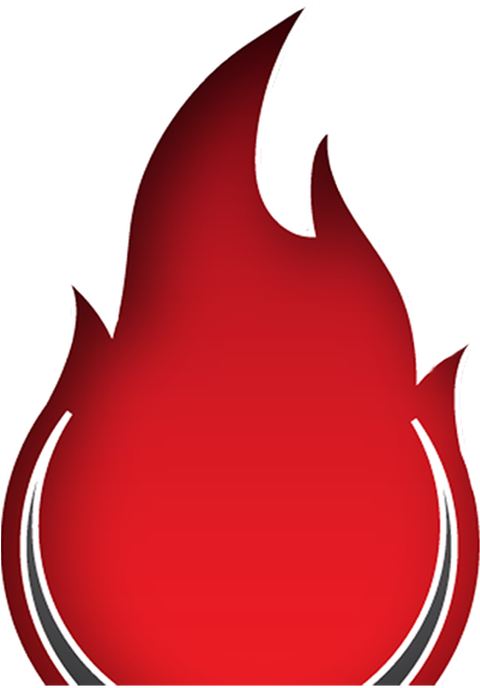 Prevent Fire Flame Logo - Prevent Fire Flame Logo (479x709)