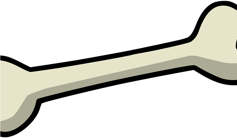 Download Interesting Dog Bone Pictures Clip Art - Download Interesting Dog Bone Pictures Clip Art (800x480)