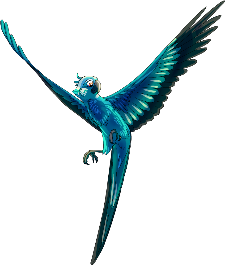 Flying Macaw Drawing Download - Spix Macaw Drawing (1024x1166)