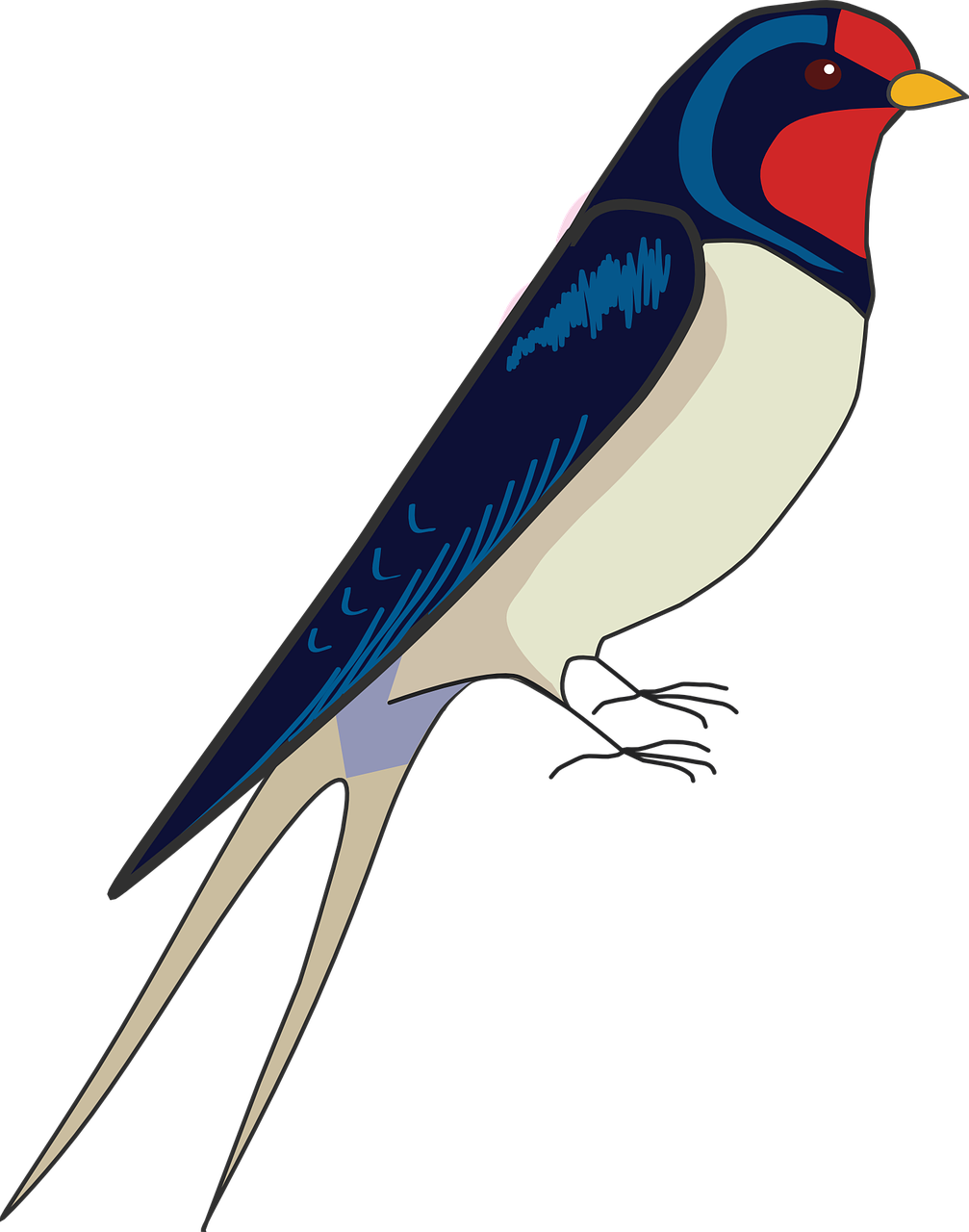 How To Draw A Bird Step By Step - Draw A Swallow Step By Step (1007x1280)