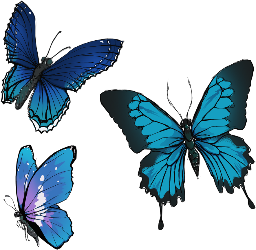 Comm - Group Of Butterflies Png (1024x1024)