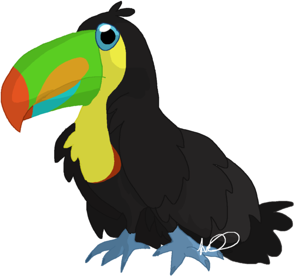 Draw Birds Toucan Parrot Drawing - Draw Birds Toucan Parrot Drawing (1024x576)