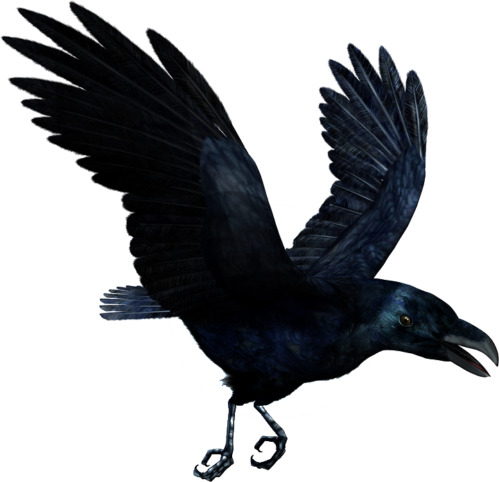 Ravens Flying Drawing - Death Grips Tattoo (900x861)