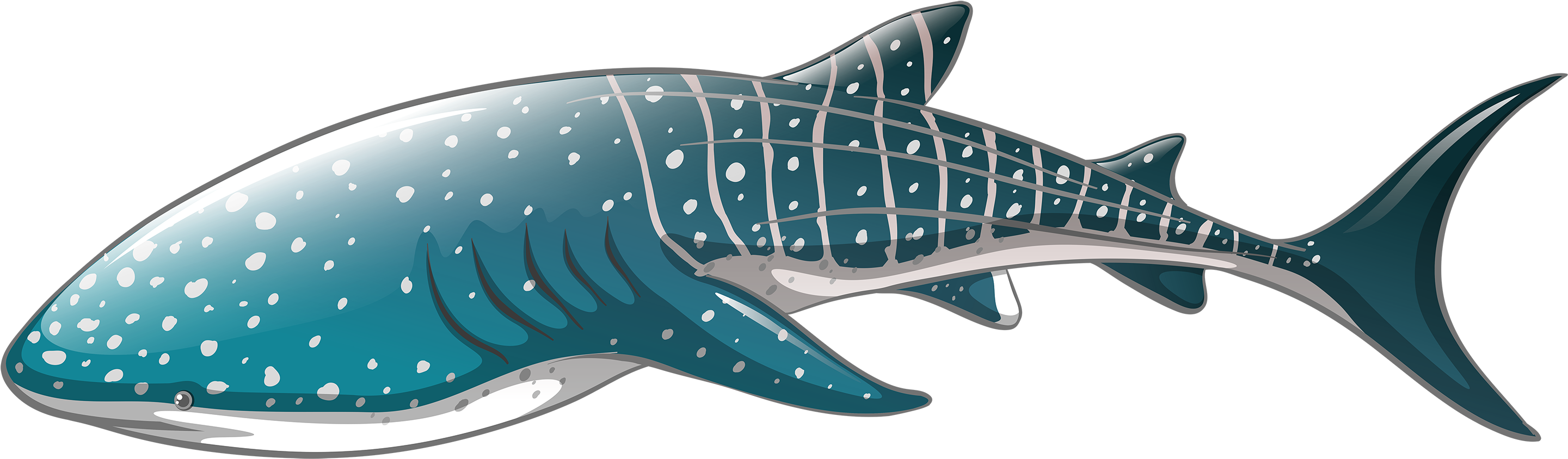 Whale Shark Vector (3000x1077)
