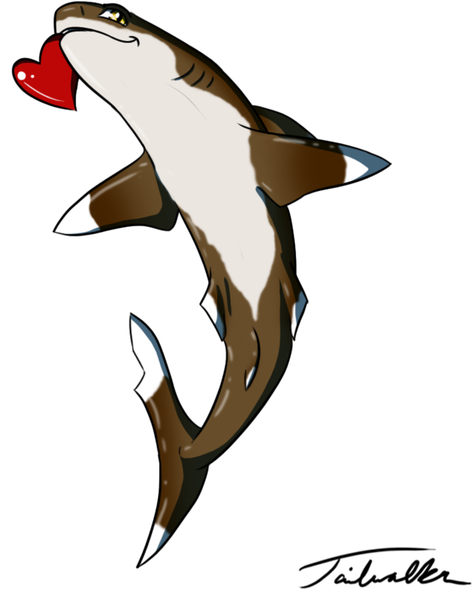 White Tip Shark Drawing - Oceanic White Tip Shark Drawing (894x894)