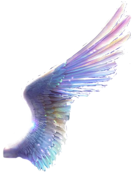 Paper Drawing - Colored Wings - Paper Drawing - Colored Wings (564x564)