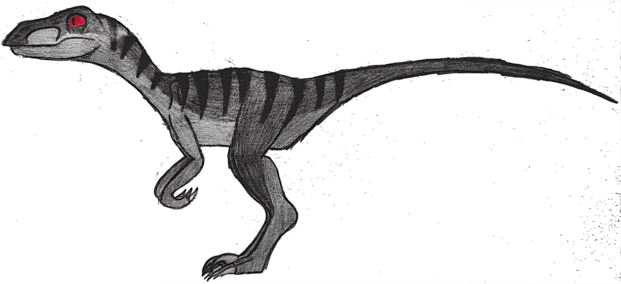 Vinny The Velociraptor Drawing By Shadowstyle143 - Drawing Of A Velociraptor (1259x576)
