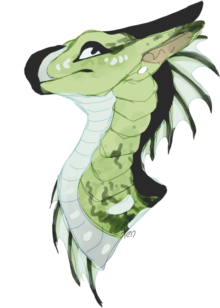 Fire Dragon, Dragon Art, Dragon Drawings, Dragon Head - Dragon (761x1051)
