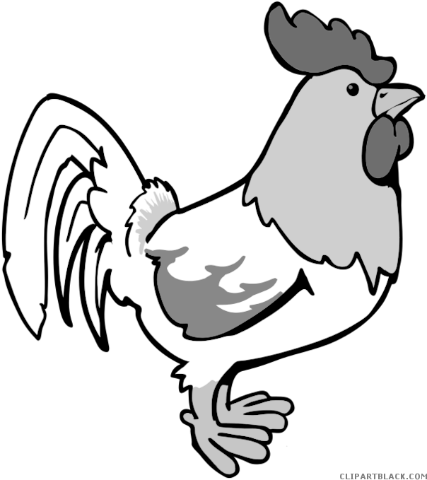 Cartoon Rooster Animal Free Black White Clipart Images - Chicken Coloring Pages (621x700)