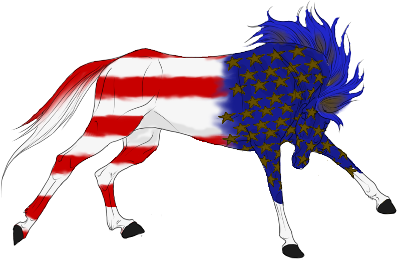 American Flag By Lore996 - Mane (800x565)