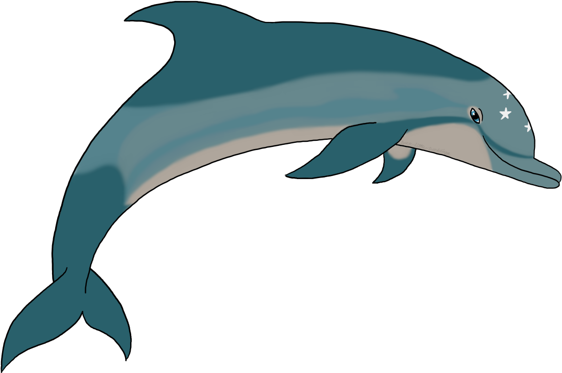 I Tried To Draw Dotf Ecco - Common Bottlenose Dolphin (1145x767)