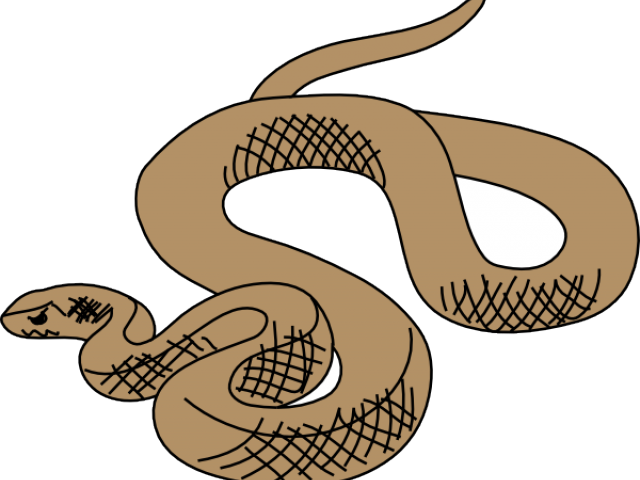 Rattlesnake Clipart Brown Snake - Snake Clipart (640x480)