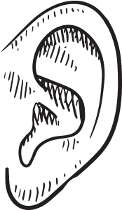 Music To My Ears Drawing (400x324)