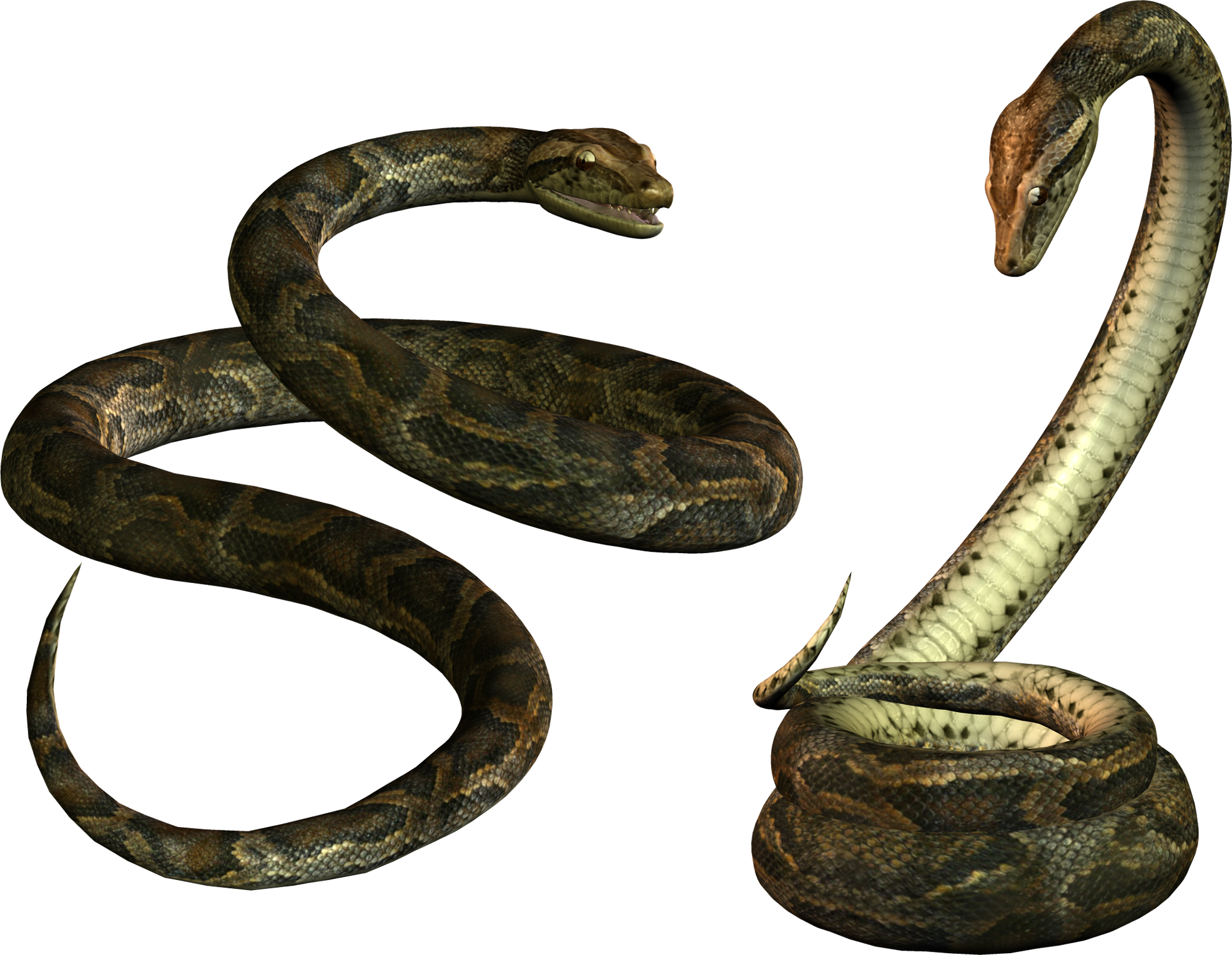 Yilan Resimleri Png Snake Clipart, Zehirli Yilanlar, - Snake Png (1973x1530)