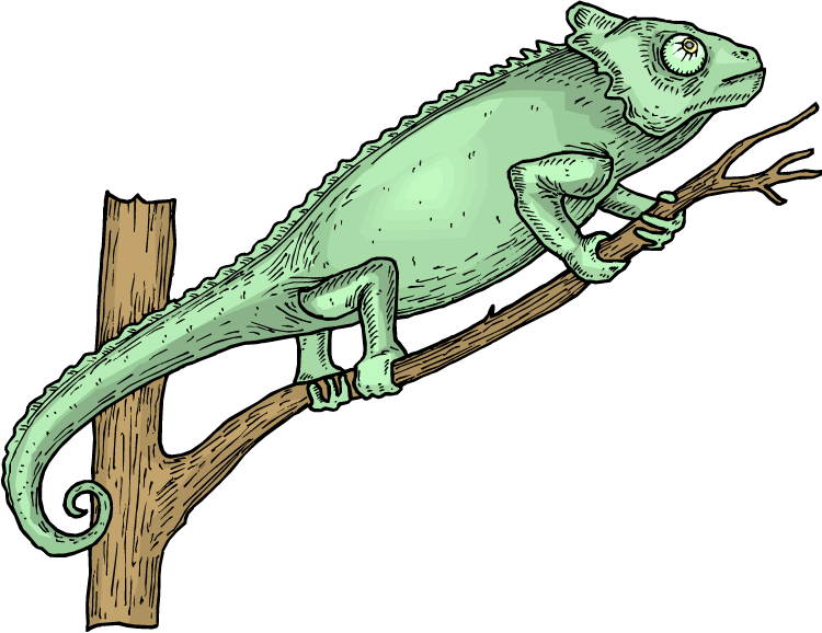 Free Lizard Clipart - Iguana On The Tree Clipart (750x578)