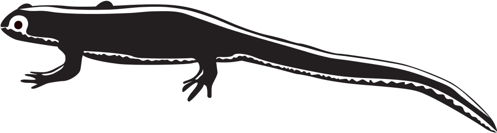 Amazing Newt Clipart With Lizard Clipart Black And - Scalable Vector Graphics (1024x683)
