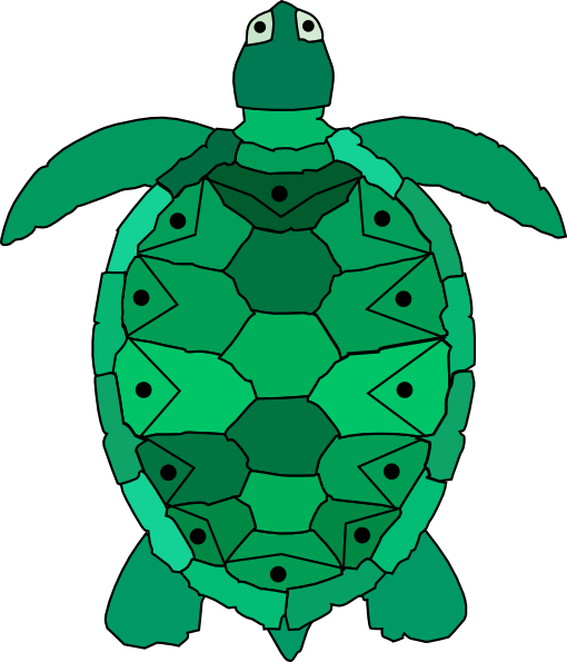 Turtle Art Clipart (510x595)