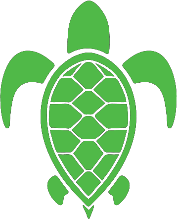 Endangered Green Sea Turtle Membership - Sea Turtle (358x442)