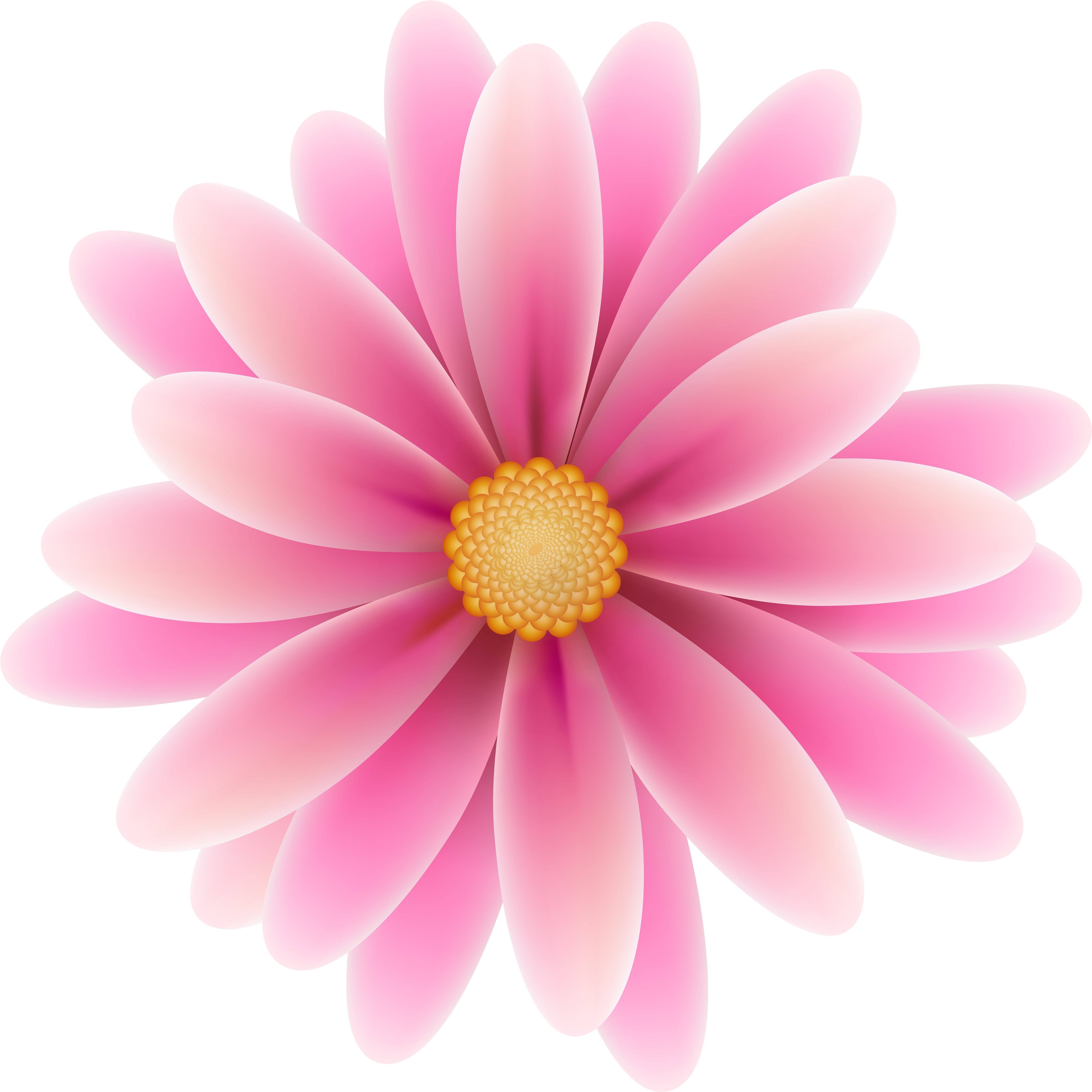 Pink Flower Clip Art Image - Pink Flower Clipart Png (5000x5000)