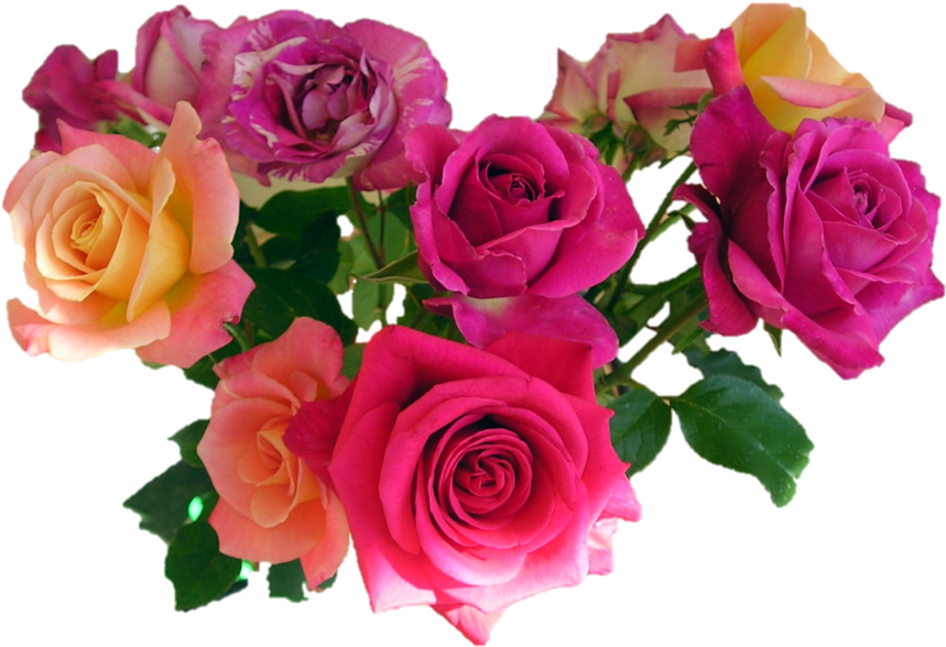 Pink Roses Flowers Bouquet Png Image - Engagement, Wedding, Anniversary Ring Band : His, Men (900x616)