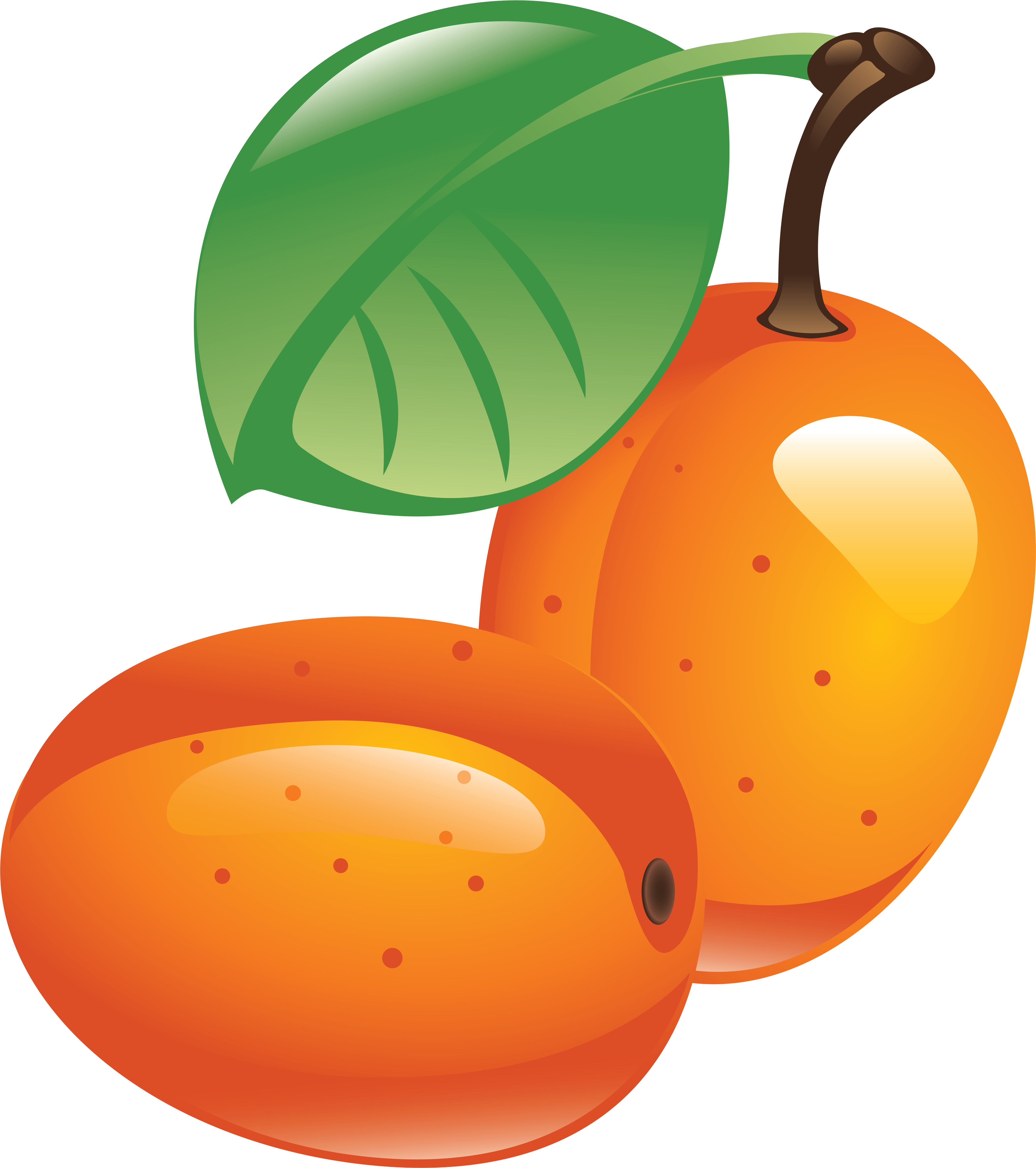 Sea Buckthorn Png - Sea Buckthorn Png (5633x6186)