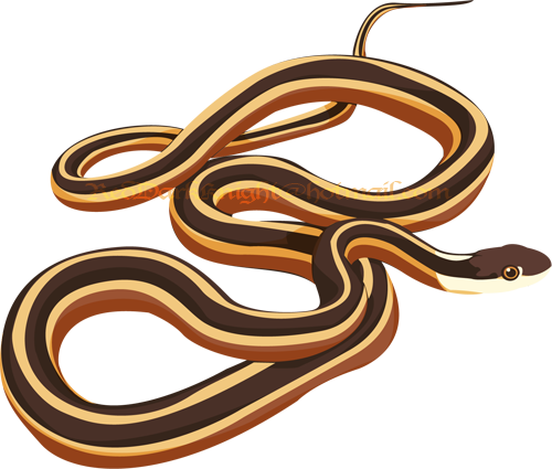 Ribbon Snake By Kreepingspawn - February 23 (500x425)
