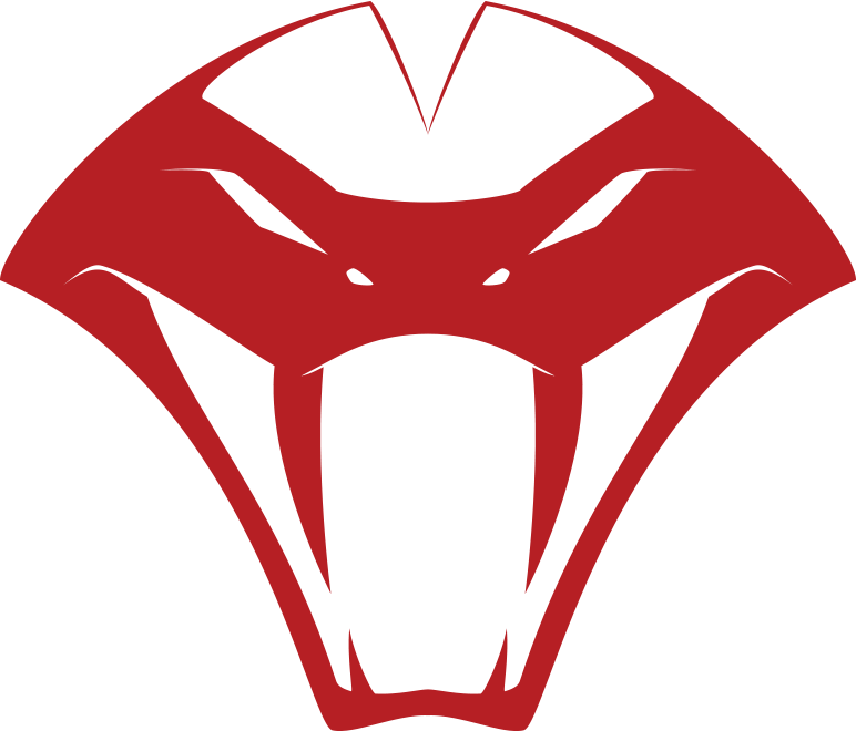 Viper Snake Head Logo - Snake Head Logo Png (772x660)