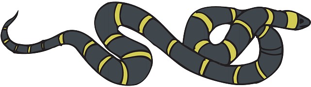 Slithering Snake, Black, Yellow, Striped, Reptile, - Snakes (640x320)