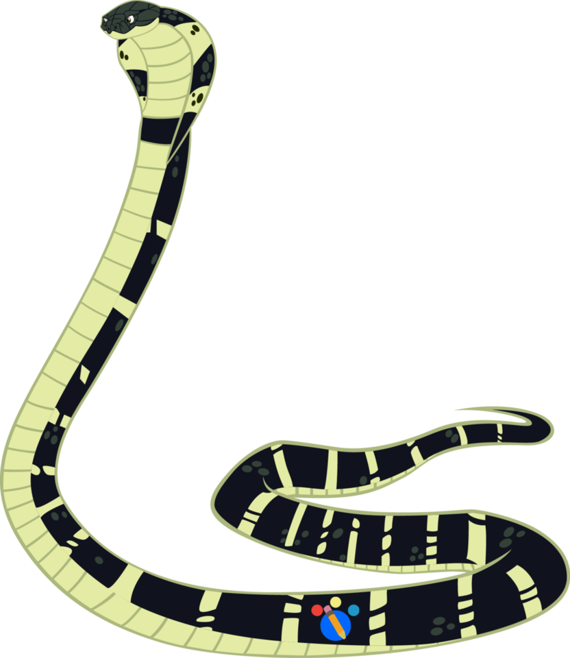 Snake Reptile King Cobra Indian Cobra - Snake Reptile King Cobra Indian Cobra (832x960)