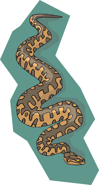 With Snake, Brown, Background, Reptile, Teal, With - พื้น หลัง รูป สัตว์ เลื้อยคลาน การ์ตูน (344x640)