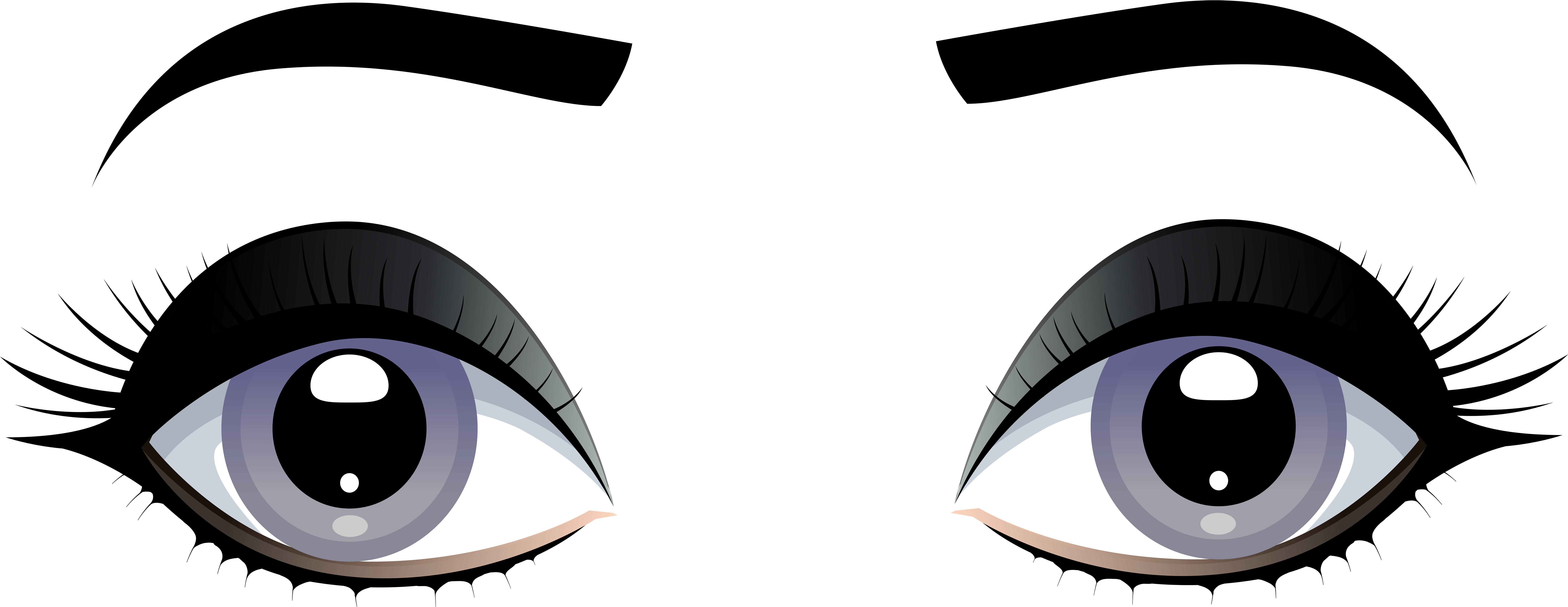 Female Grey Eyes With Eyebrows Png Clip Art - Female Grey Eyes With Eyebrows Png Clip Art (8000x3202)