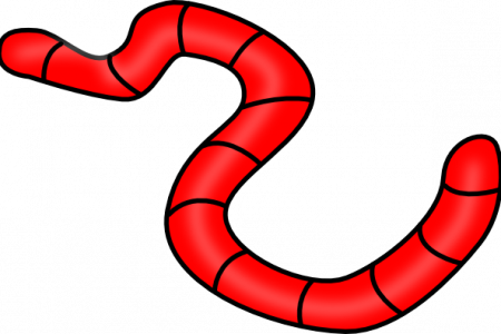 Pin Gummy Worm Clipart - Worm Clipart No Background (450x300)