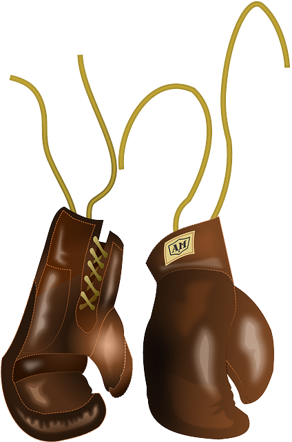 Boxing, Equipment, Gloves, Sports, Fight - Luvas De Boxe Em Png (519x640)