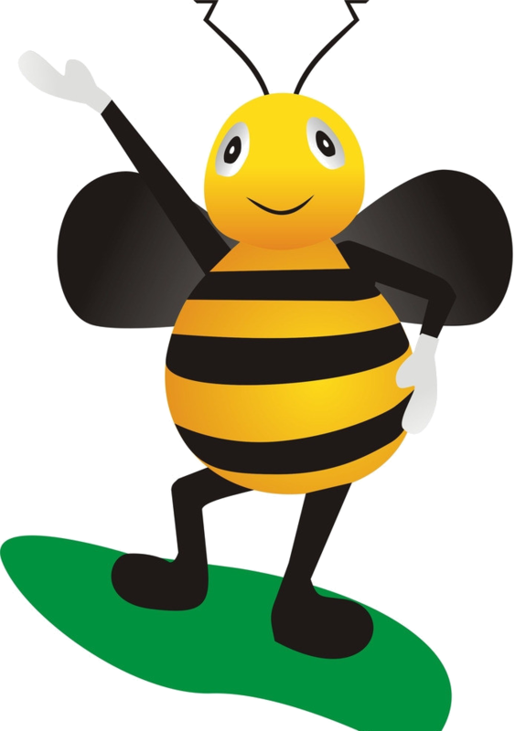 Bee (563x800)