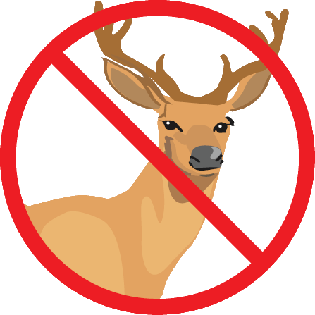 Portrait Of A Man (447x447)