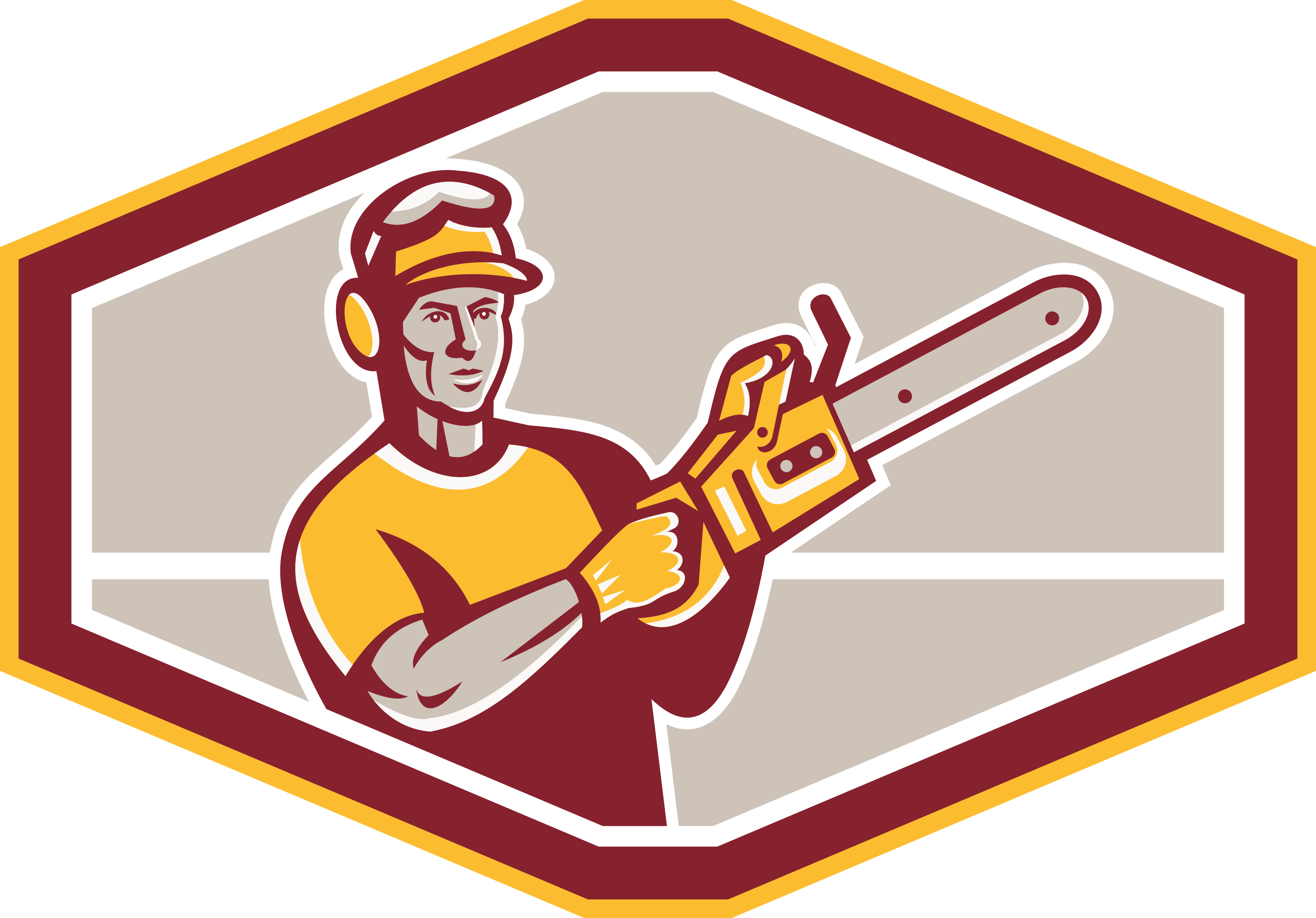 Chainsaw Artist Demonstration - Arborist Chainsaw (3000x2093)