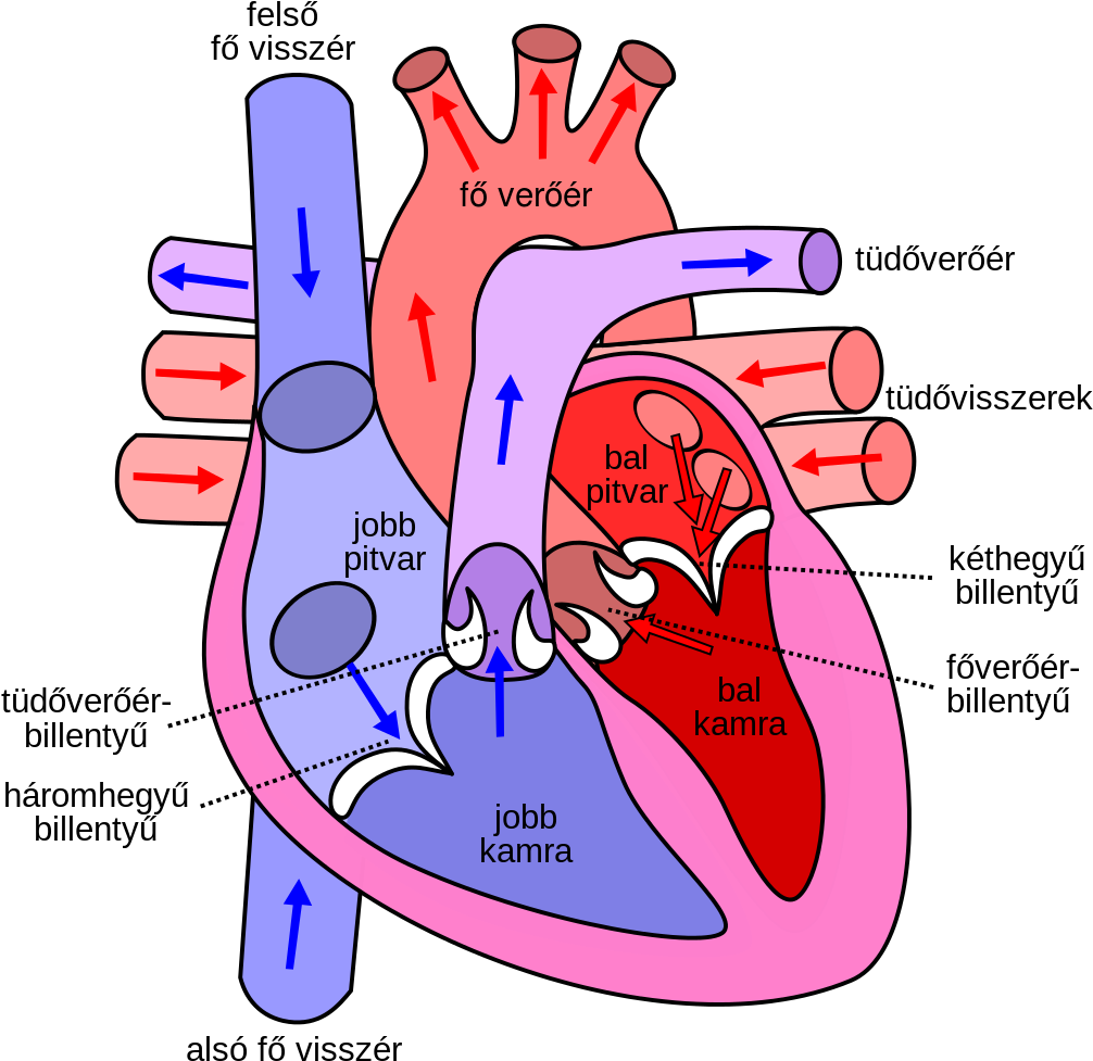 File Diagram Of The Human Heart Hu Svg Wikipedia Rh - Direction Of Blood Through The Heart (1044x1024)
