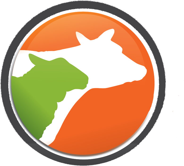 Alfa Expo - Department Of Homeland Security (845x867)