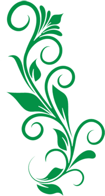 Curly Floral Art Green Vector Clipart Png - Free Floral Vector Png (300x449)