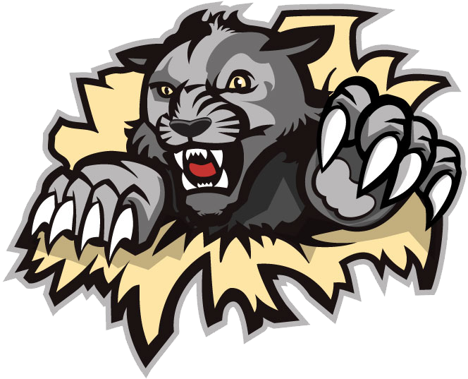 Beneficiary - West Shore Wildcats Logo (694x578)