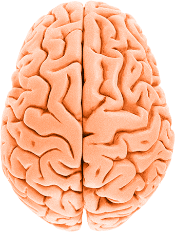 There's An Easy Way To Win - Patología Dual: Fundamentos Clínicos Y Terapéuticos (341x453)