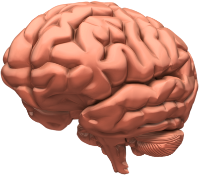 Logical Fallacies And Argumentation Subpages - Illustration (427x500)