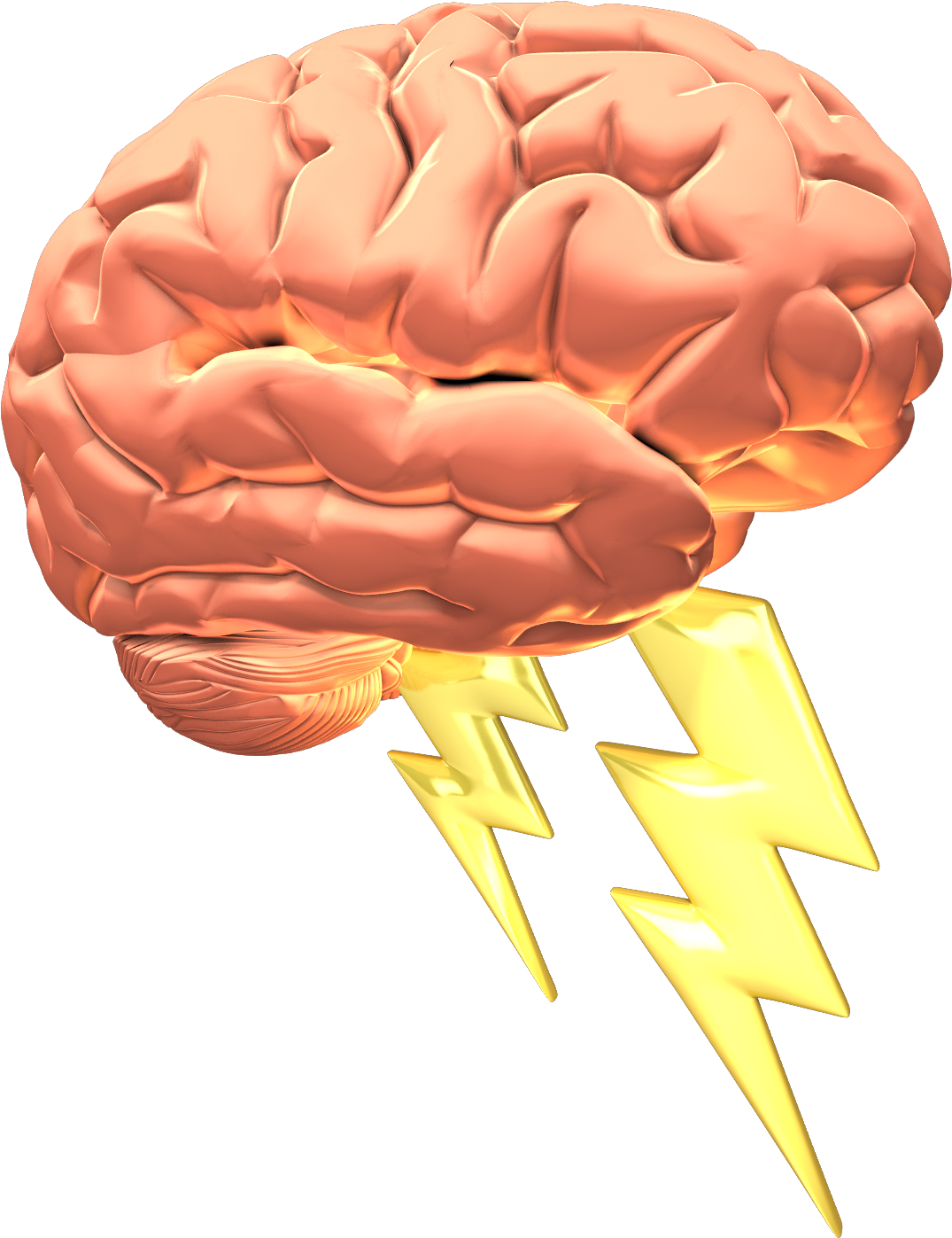 Brain Power 1600 Clr - Professional Development (1400x1600)