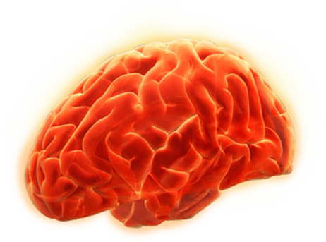 Brain Training Singapore - Cognitive Training (462x343)