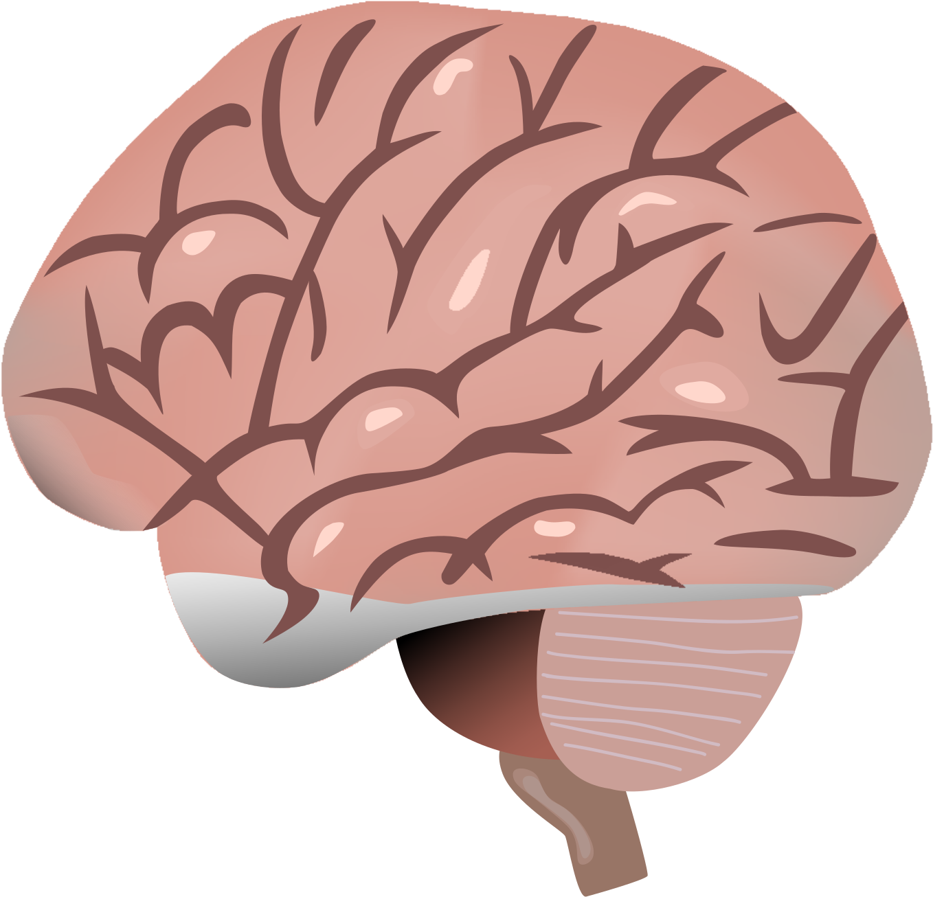 Open - Scalable Vector Graphics (2000x1602)