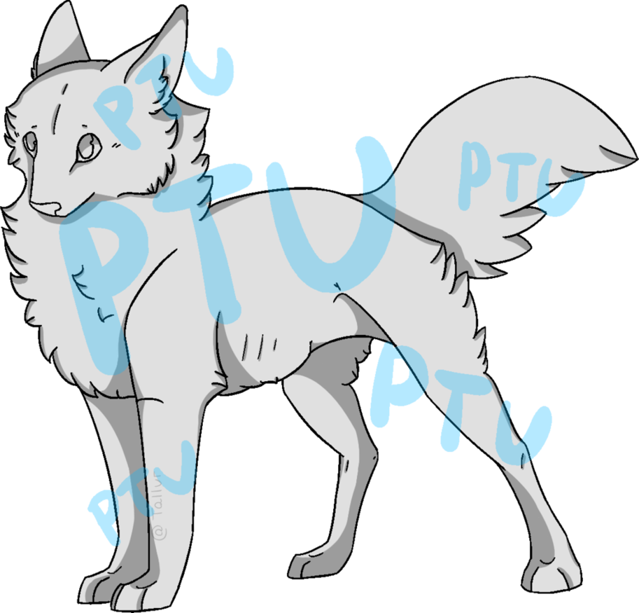 Ptu Canine Base - Ptu Canine Base (913x875)