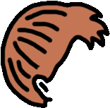 Gymnastics Christmas Ornament - Illustration (763x763)