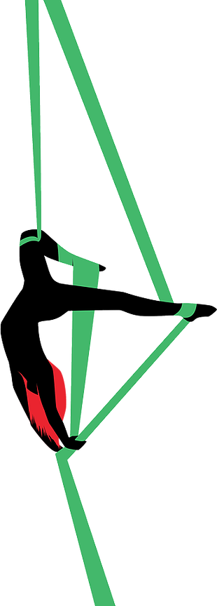 Aerialist Silhouette - Vie De Cirque (310x864)