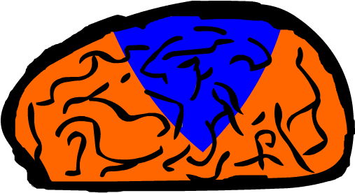 Genio Quiz (512x512)